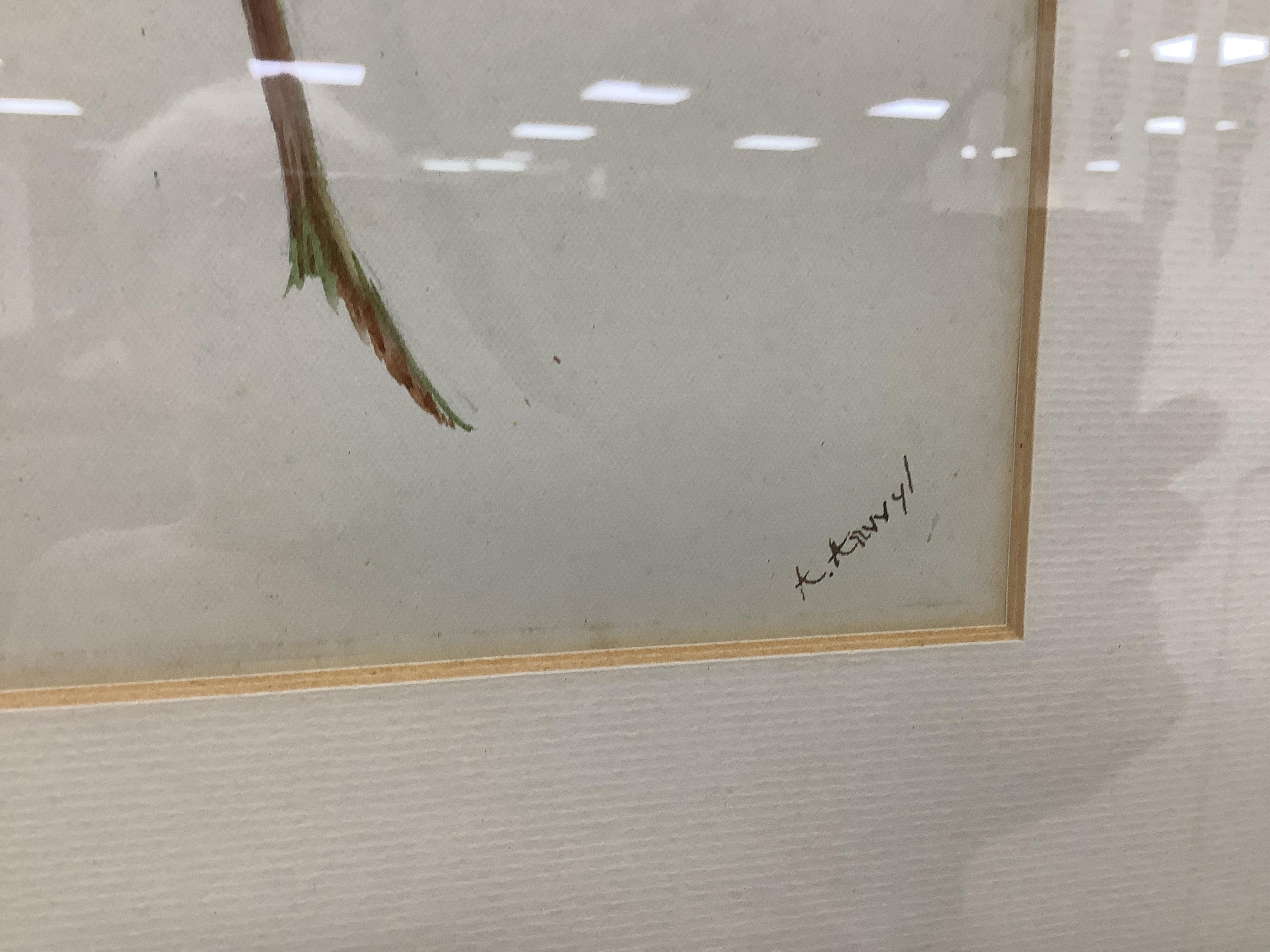 Late 19th / early 20th century school, set of eighteen watercolours, botanical studies, some with Latin pencil inscriptions, unsigned, 29 x 22cm